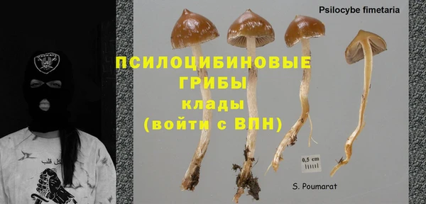 не бодяженный Медвежьегорск
