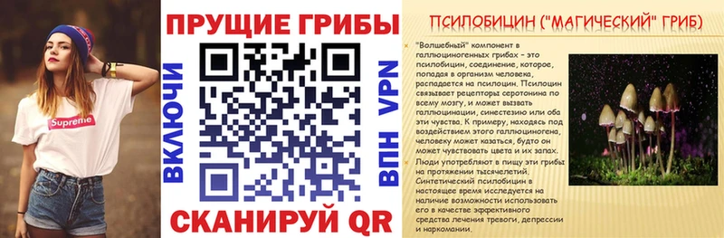 гидра зеркало  Тимашёвск  Галлюциногенные грибы Psilocybe 